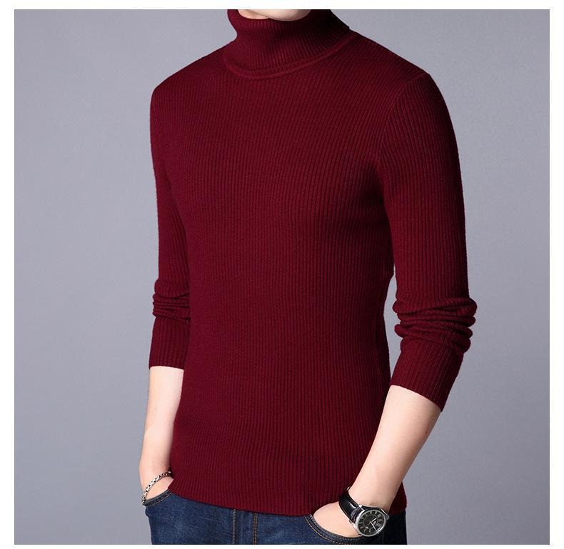 1 Pc Men's Ribbed Plain Highneck