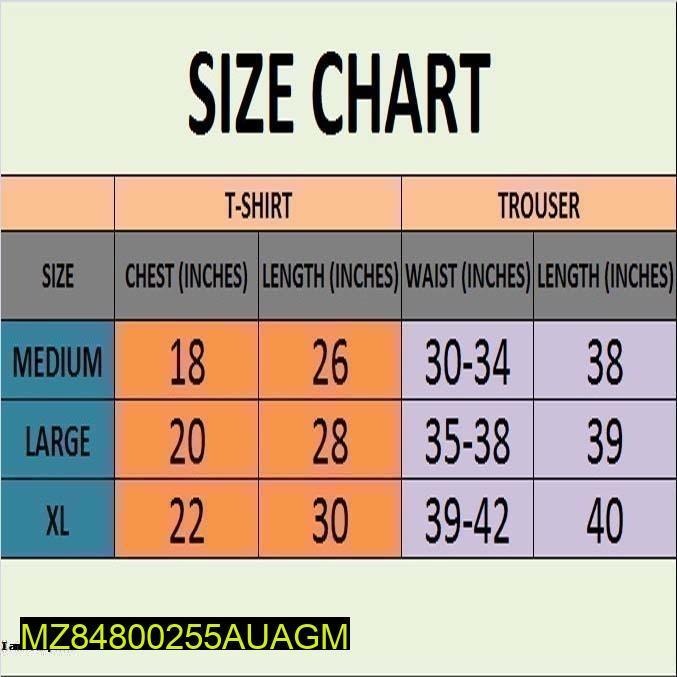 2 Pcs Women's Stitched Cotton Printed Sleepwear